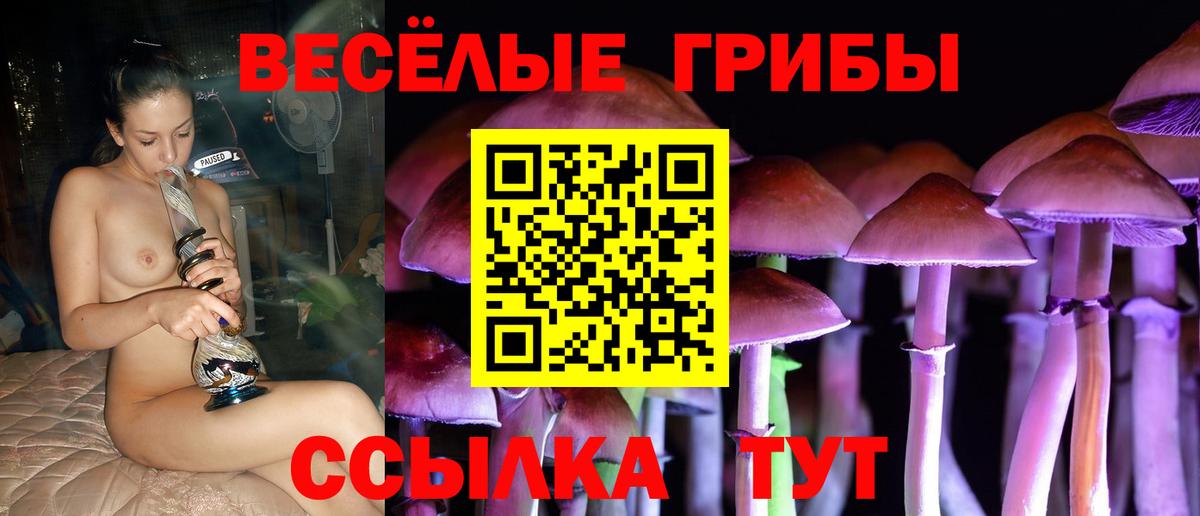 Ухта  Галлюциногенные грибы GOLDEN TEACHER  Вход с VPN 