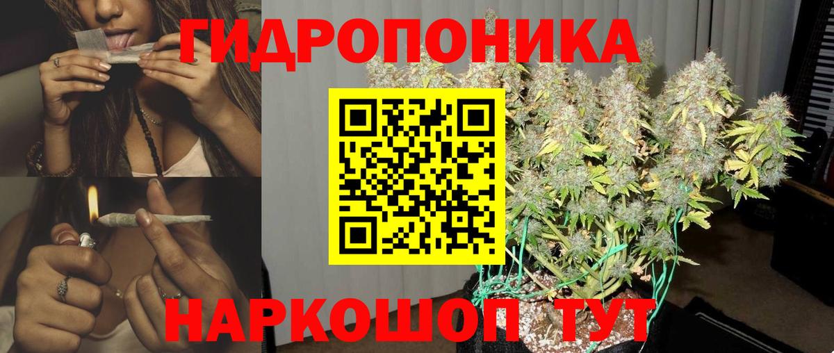 Бошки Шишки ГИДРОПОН Ухта
